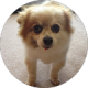 google profile photo