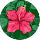 google profile photo
